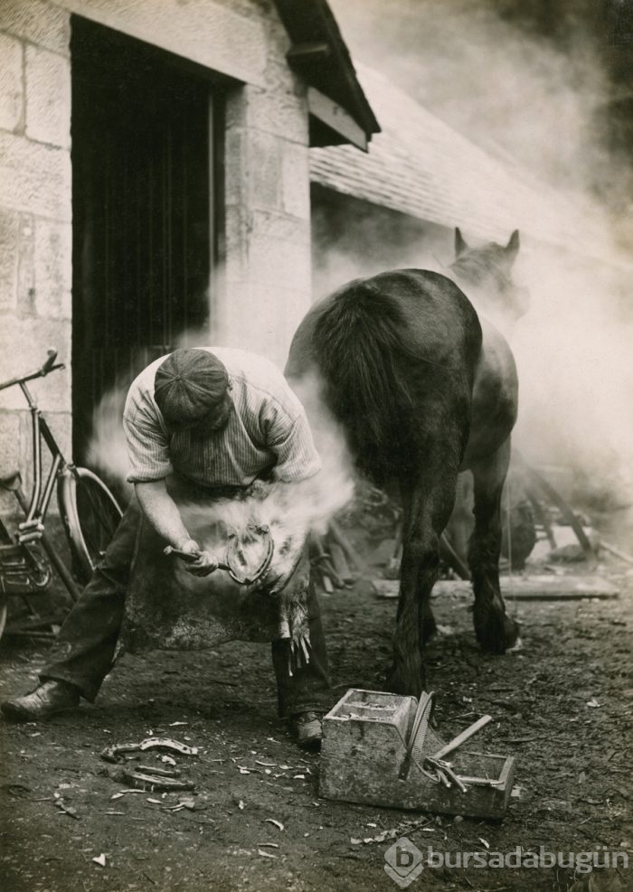 National Geographic'ten daha önce görülmemiş fotoğraflar
