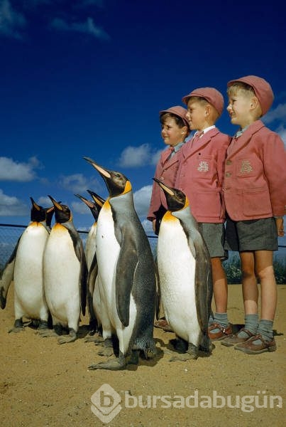 National Geographic'ten daha önce görülmemiş fotoğraflar