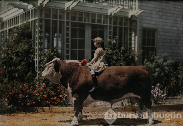 National Geographic'ten daha önce görülmemiş fotoğraflar