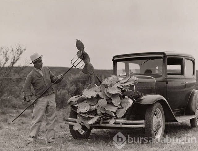 National Geographic'ten daha önce görülmemiş fotoğraflar