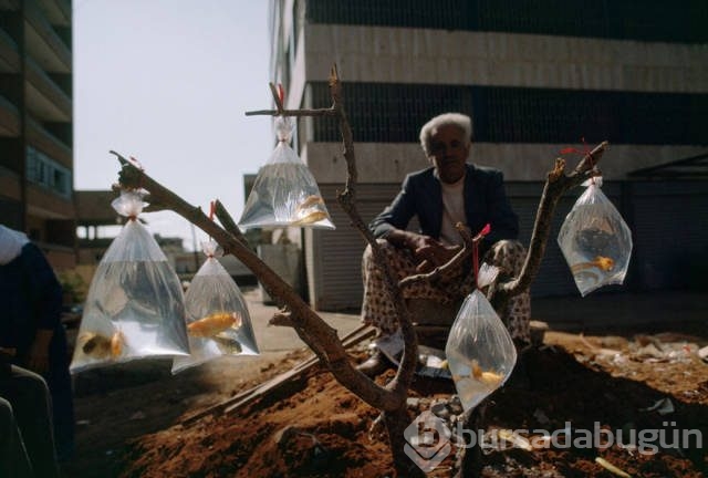 National Geographic'ten daha önce görülmemiş fotoğraflar