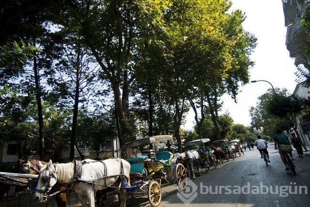 İstanbul'a yakın tatil kaçamakları