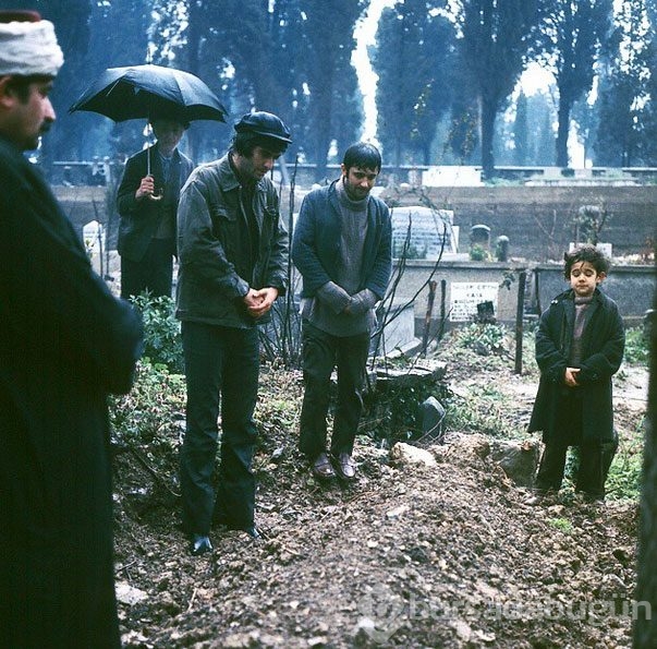 Onları hiç böyle görmediniz