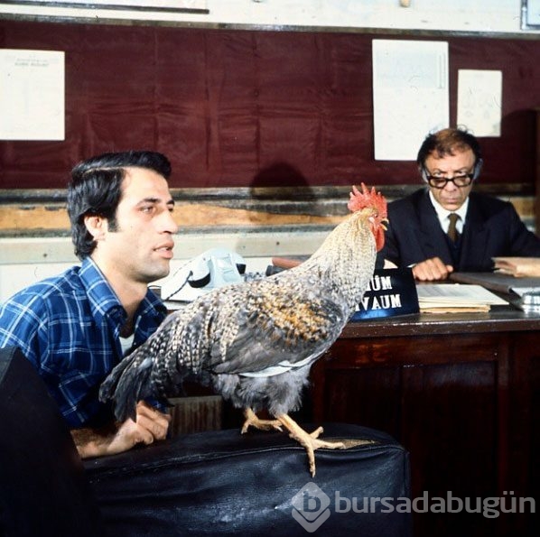 Onları hiç böyle görmediniz