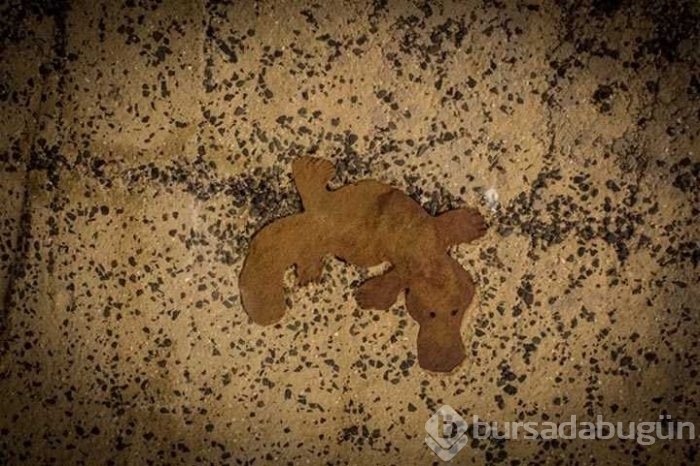Miras kalan mağarayı şatoya çevirdi