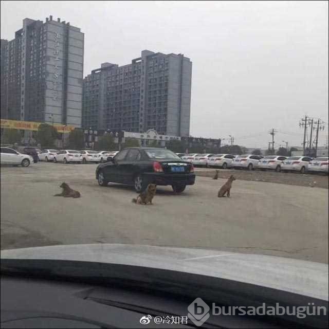 Günün en çok paylaşılan fotoğrafları