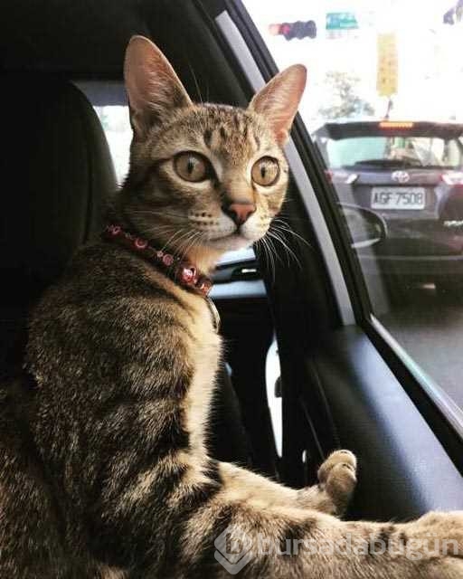 Günün en çok paylaşılan fotoğrafları