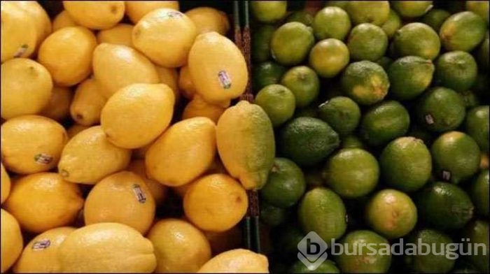 Günün en çok paylaşılan fotoğrafları