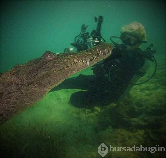 Günün en çok paylaşılan fotoğrafları