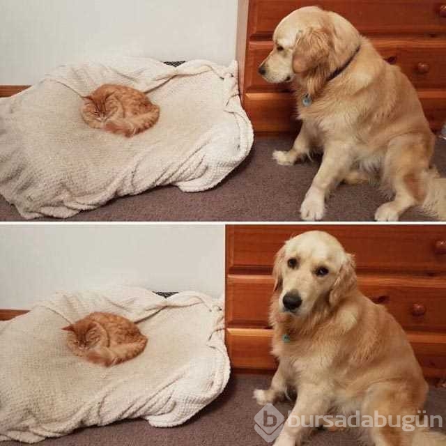Günün en çok paylaşılan fotoğrafları