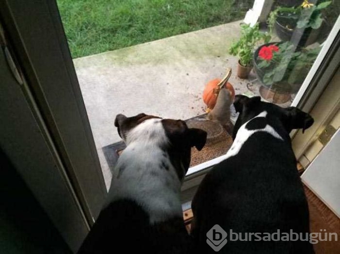 Günün en çok paylaşılan fotoğrafları