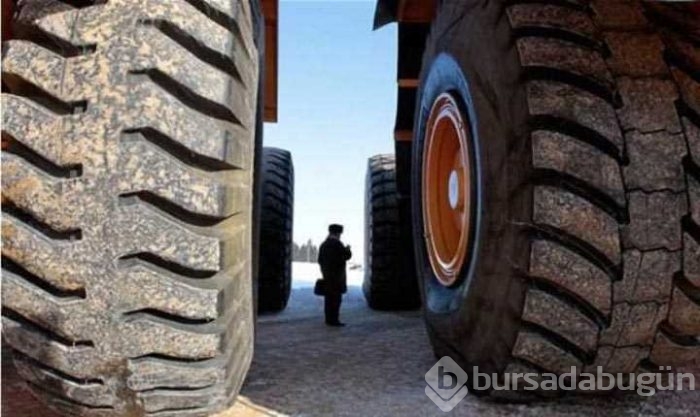 Günün en çok paylaşılan fotoğrafları