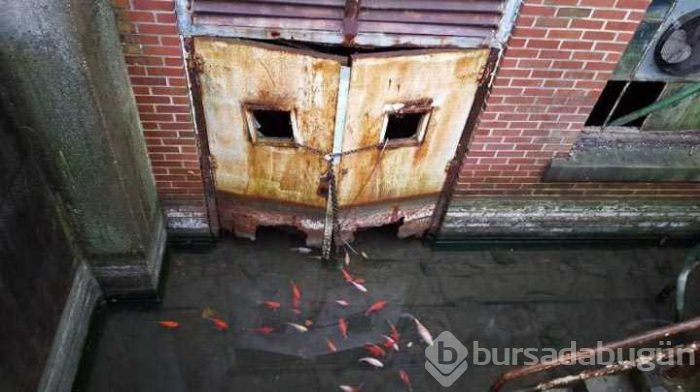 Günün en çok paylaşılan fotoğrafları
