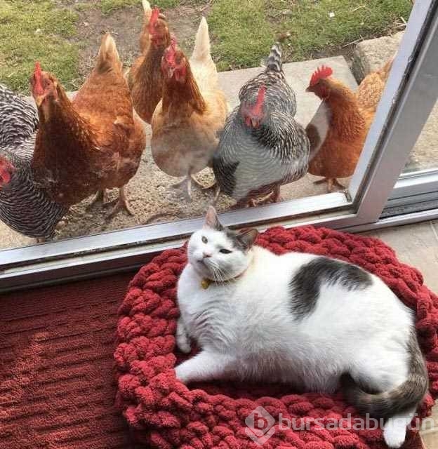 Günün en çok paylaşılan fotoğrafları