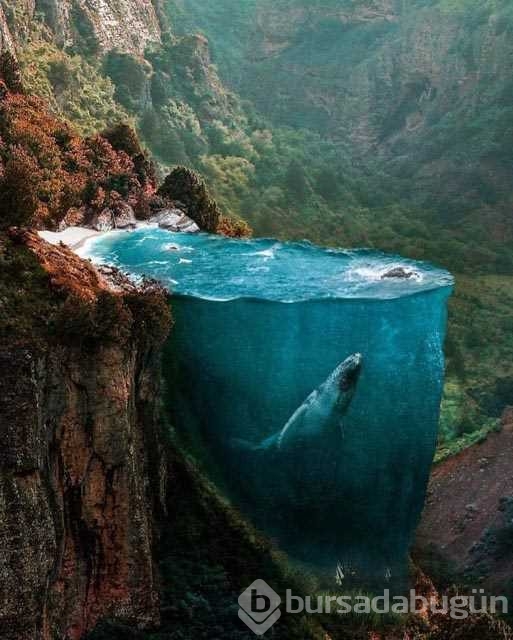 Büyülü bir dünyaya yolculuğa çıkartan fotoğraflar
