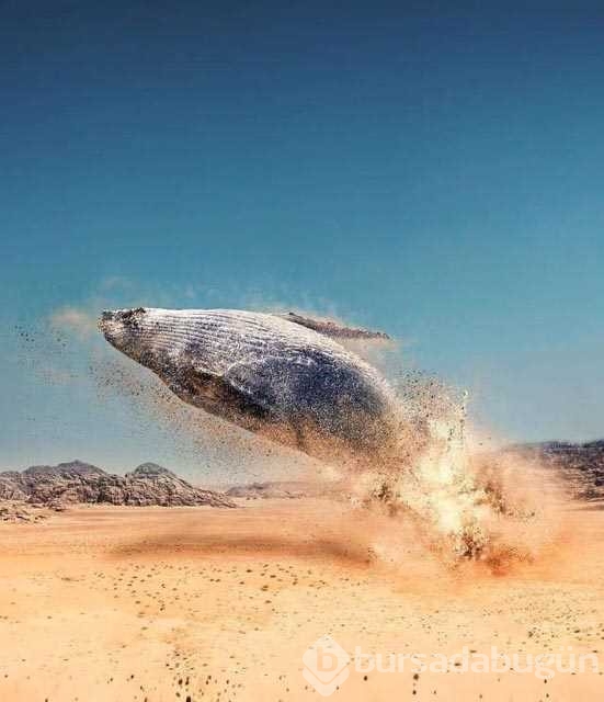 Büyülü bir dünyaya yolculuğa çıkartan fotoğraflar