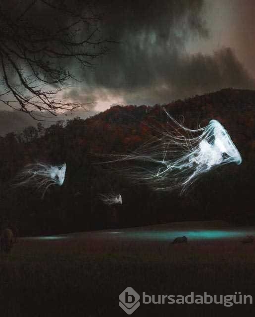 Büyülü bir dünyaya yolculuğa çıkartan fotoğraflar