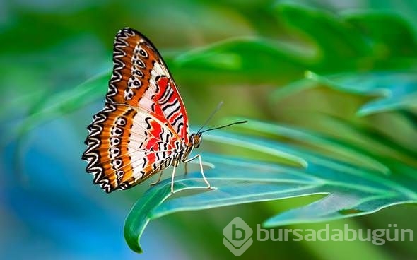 Doğru bildiğimiz yanlışlar!