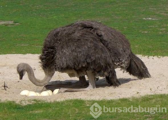 Doğru bildiğimiz yanlışlar!