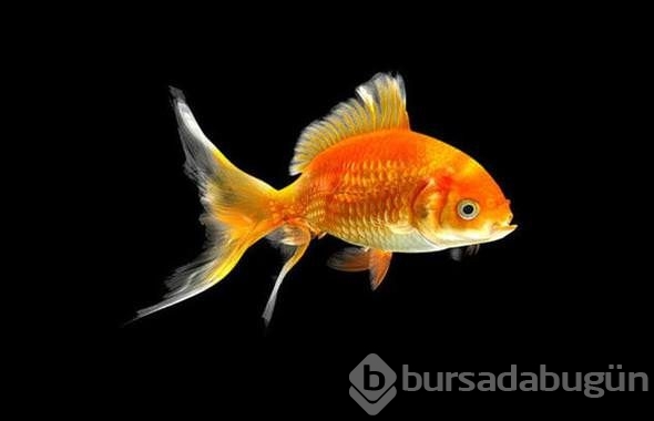Doğru bildiğimiz yanlışlar!