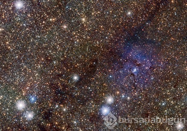 Eski NASA astronotundan 'dünya dışı yaşam' açıklaması