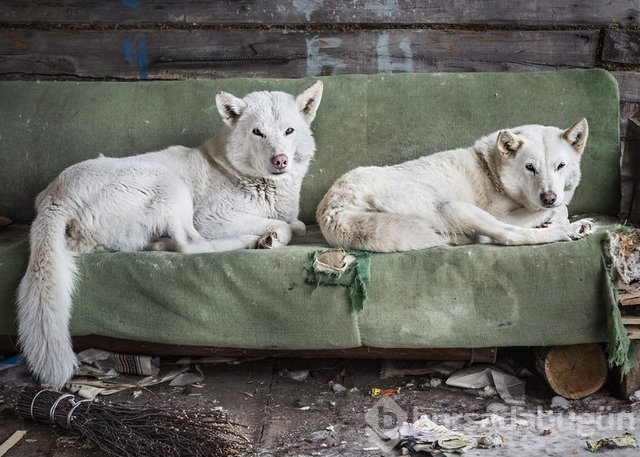 İstanbul Photo Awards 2017 sahiplerini buldu