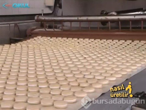 Bisküvi nasıl üretilir?