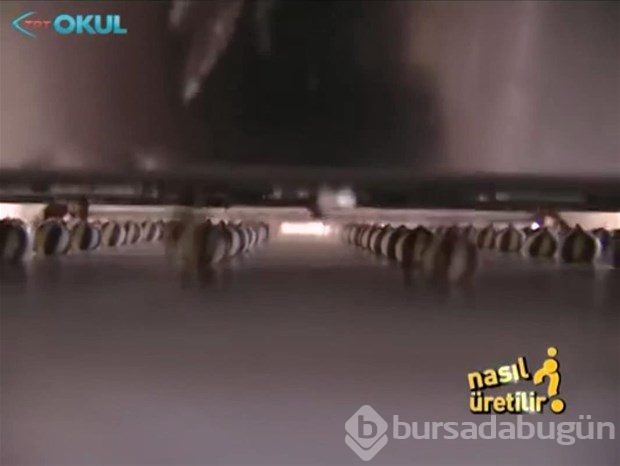 Bisküvi nasıl üretilir?