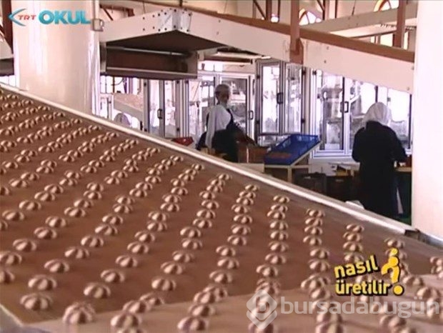 Bisküvi nasıl üretilir?