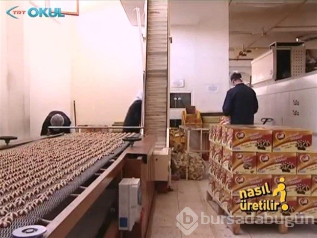 Bisküvi nasıl üretilir?