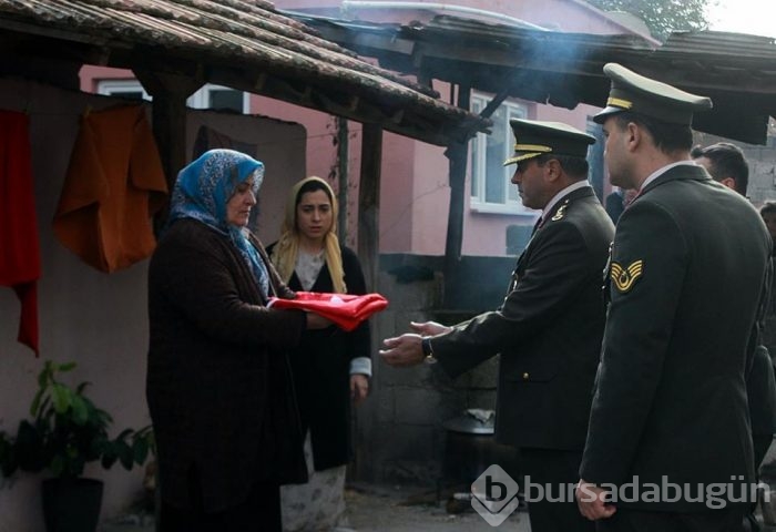Bordo Bereliler: Suriye