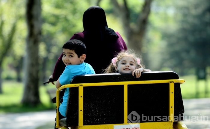 Bursa'da bahar coşkusu!