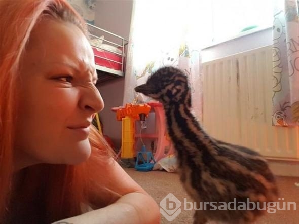 Aldığı yumurtanın içinden çıkan şey şoke etti!