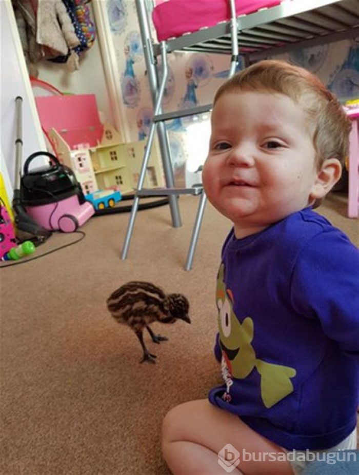 Aldığı yumurtanın içinden çıkan şey şoke etti!