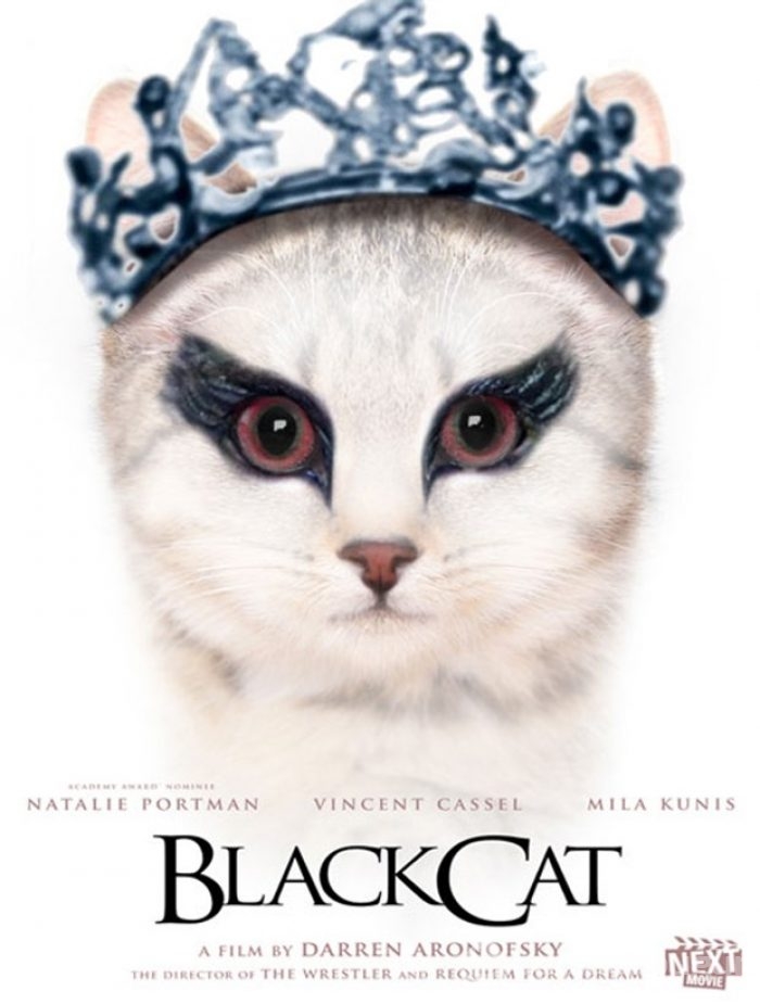 Ünlü film afişlerinin kedili halleri
