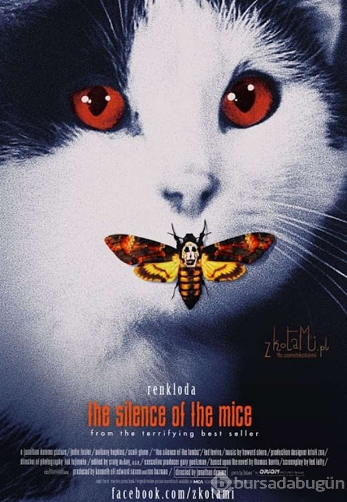 Ünlü film afişlerinin kedili halleri
