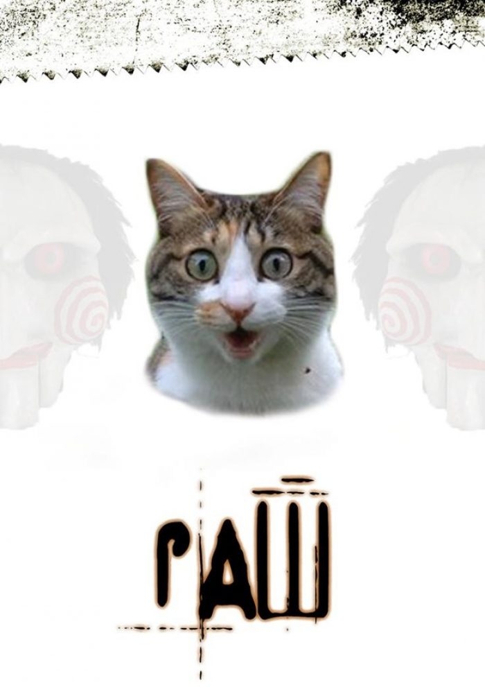 Ünlü film afişlerinin kedili halleri
