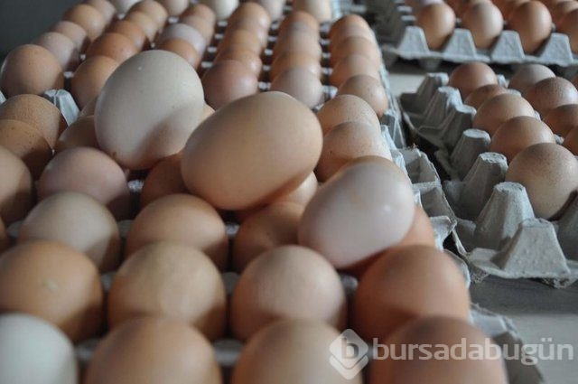 Bu pratik bilgiler çok işinize yarayacak!
