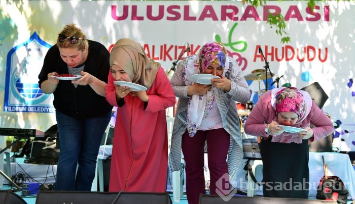 Bursa Cumalıkızık Ahududu Festivali'nde renkli görüntüler	