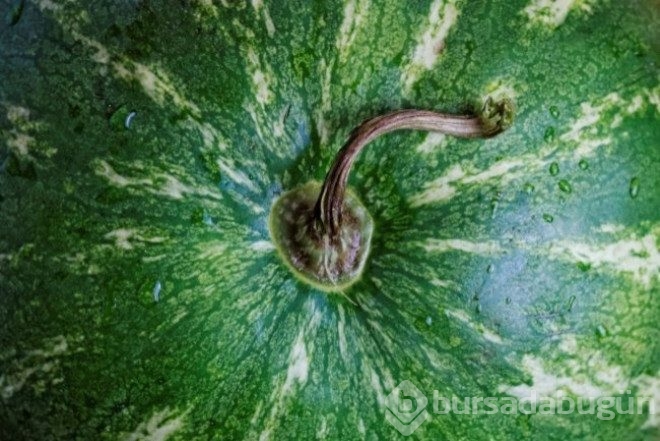 Mükemmel karpuzu seçmenin püf noktaları