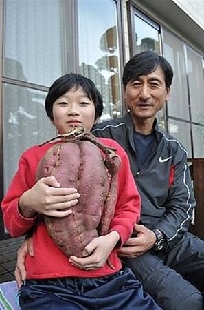 Japonların ilginç meyveleri