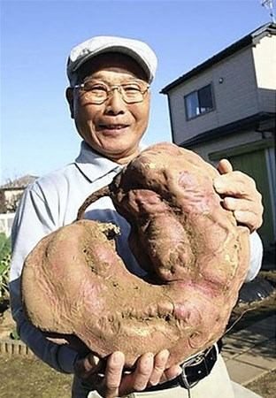 Japonların ilginç meyveleri