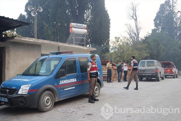 Denizli'de orman yangını