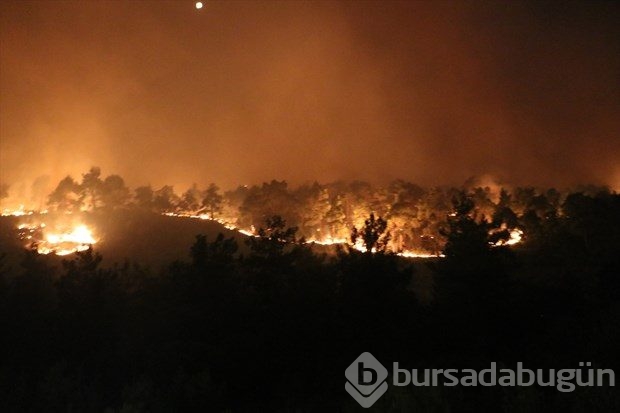 Denizli'de orman yangını