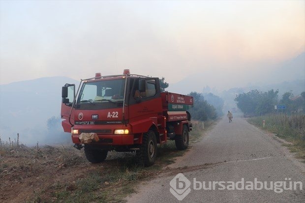 Denizli'de orman yangını