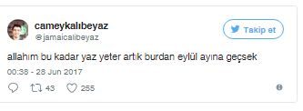 Sıcaklara isyan eden tweetler güldürüyor