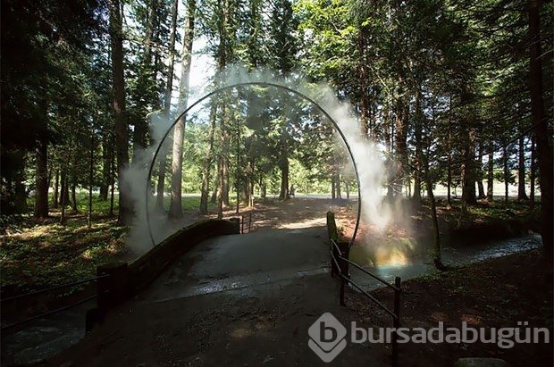 Suyun en sanatsal hali