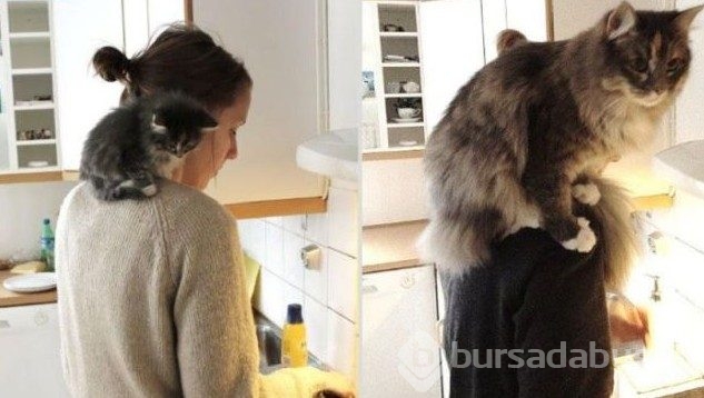 Sosyal medyanın yeni trendi