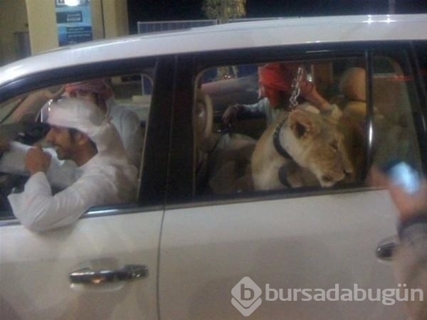 Sadece Dubai'de görebileceğiniz fotoğraflar