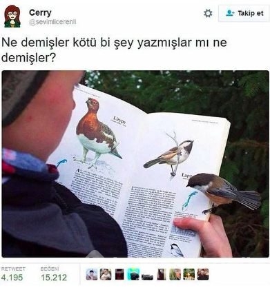 Sokakta karşılaşılan komik manzaralar